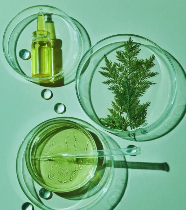 cosmetic compliance laboratory